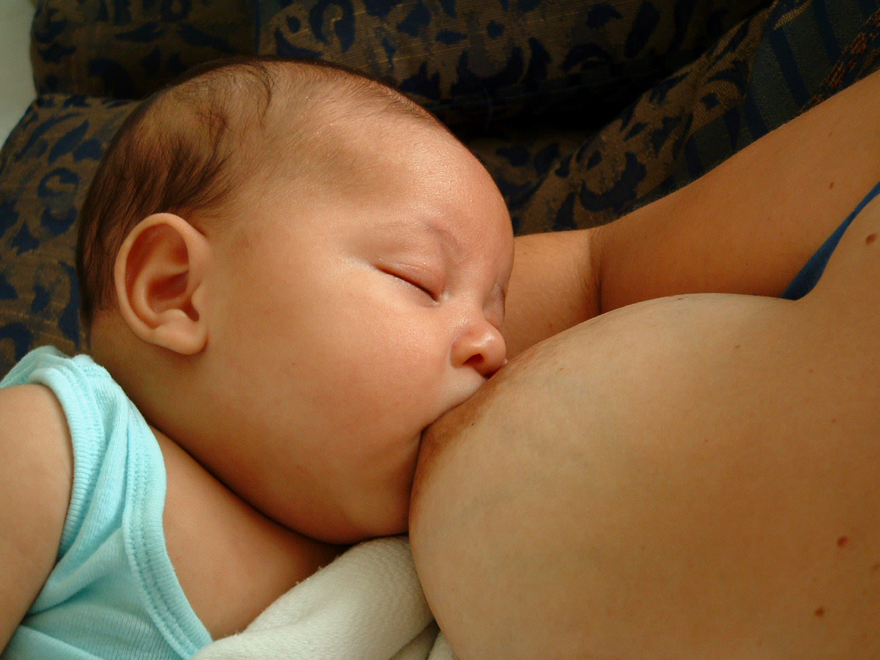 Tipos de lactancia: lactancia materna