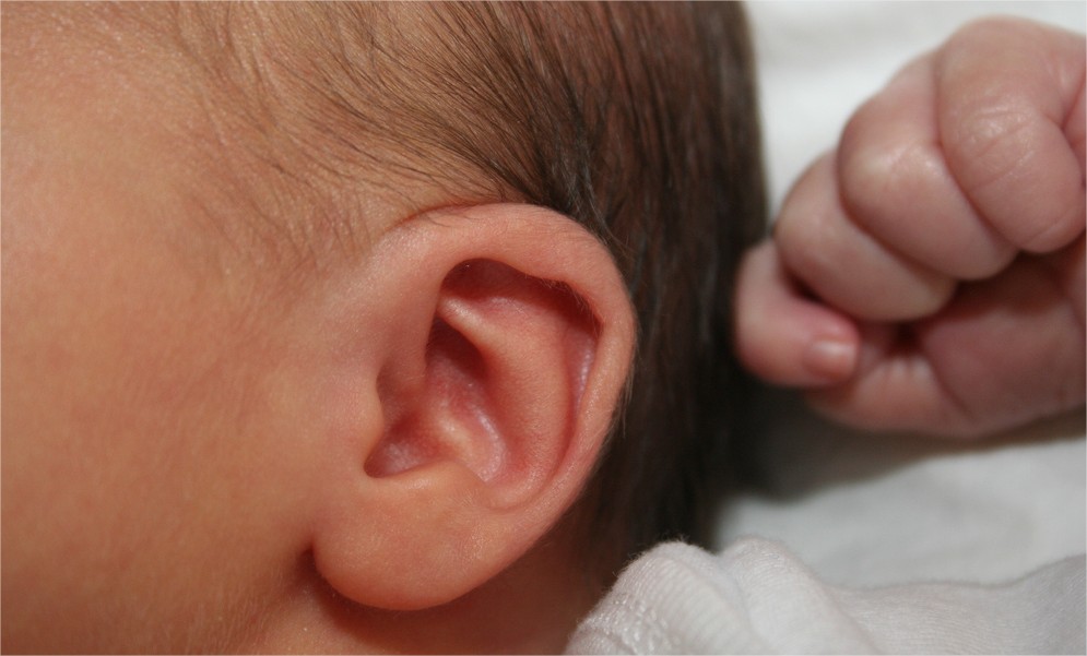 Los sentidos de los bebés: El oído