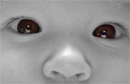 Los sentidos de los bebés: La vista