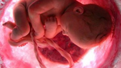Practican abortos en Inglaterra porque el sexo del bebé no es el deseado