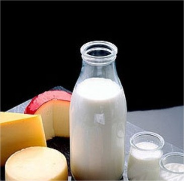 Introducción de productos lácteos en la dieta de los bebés