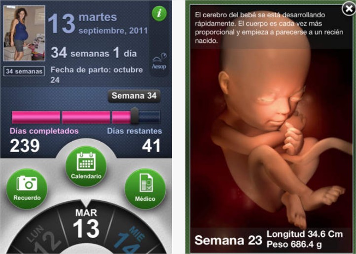 Aplicación: Progreso del embarazo