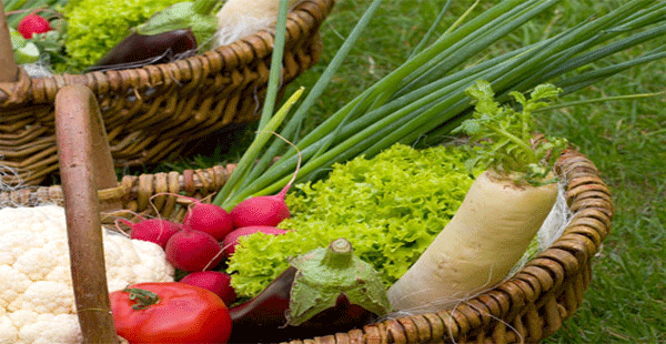 Decálogo para consumir alimentos ecológicos II