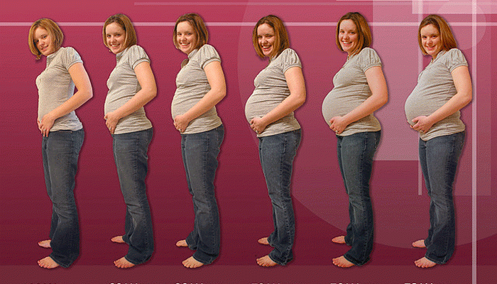 Formación del bebé mes a mes